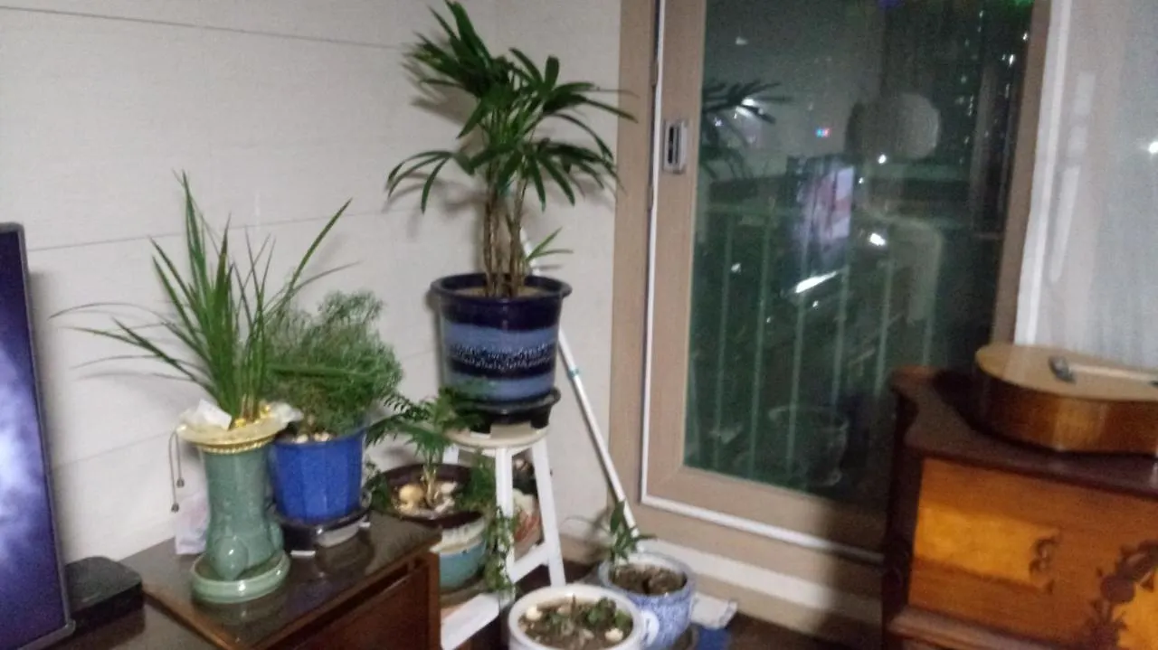 Gumsam Homestay Busan